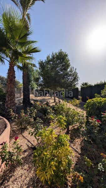 Foto 3376b798-8a8a-43f5-956c-403e341522ea. Chalet con parcheggio piscina in La Algoda - Matola - Llano de San José Elche / Elx