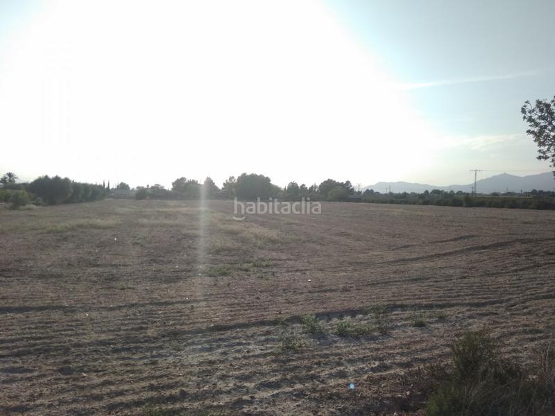 Foto 0e23154d-cce9-4fcb-8d6e-3c5148ef6f79. Terreno residenziale in Crevillente