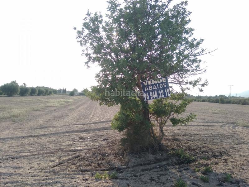 Foto 19a497e2-8900-4318-aa52-d53247ccb0a9. Terreno residenziale in Crevillente