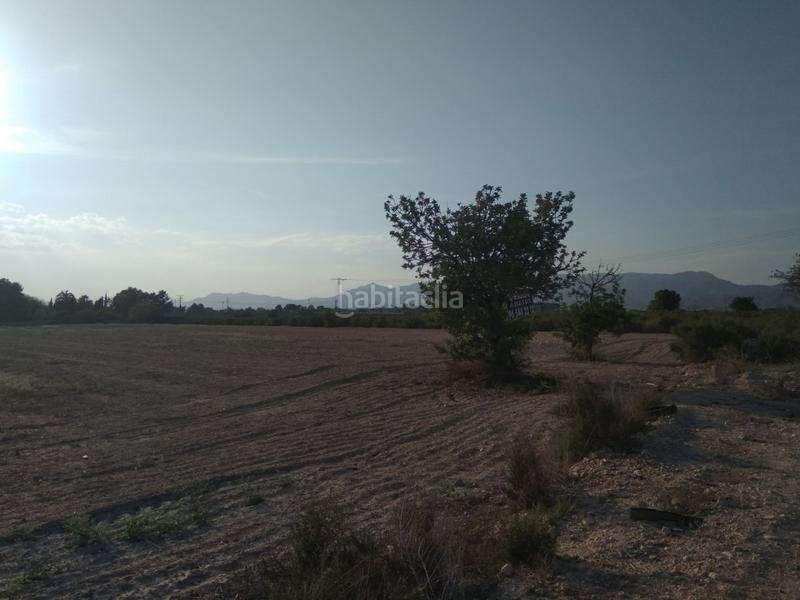 Foto 1dc540cc-dc32-49e7-ad12-7657771ec1a4. Terreno residenziale in Crevillente