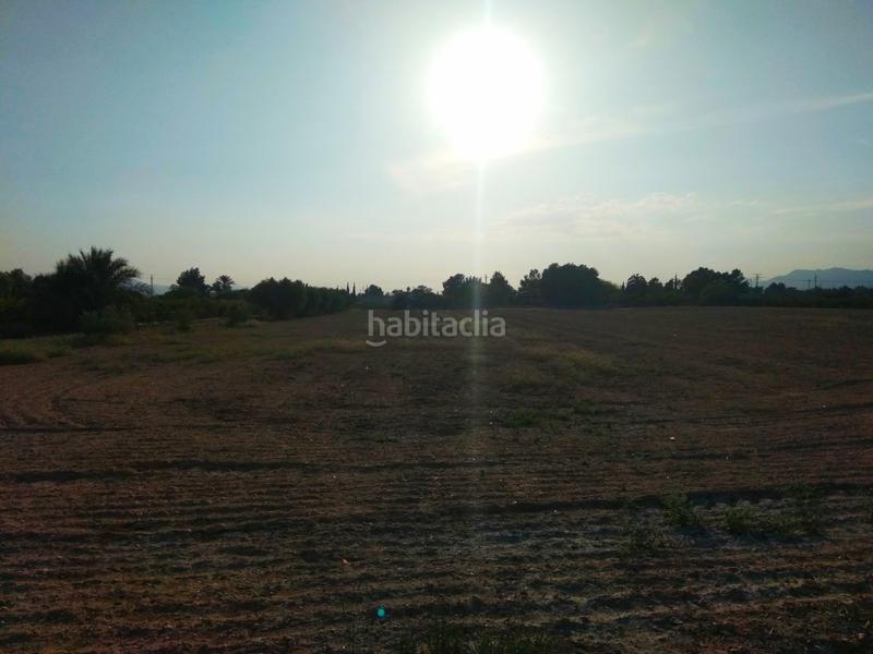 Foto 52ecb696-464f-4294-906d-2408cee06a93. Terreno residenziale in Crevillente
