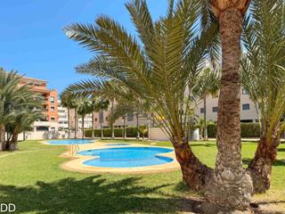 Lloguer Apartament a Les Bassetes - El Marjal