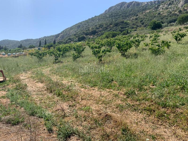 Foto 4812ddef-f5aa-48d0-b9b9-726b634011b3. Casale con parcheggio in Alfarnate