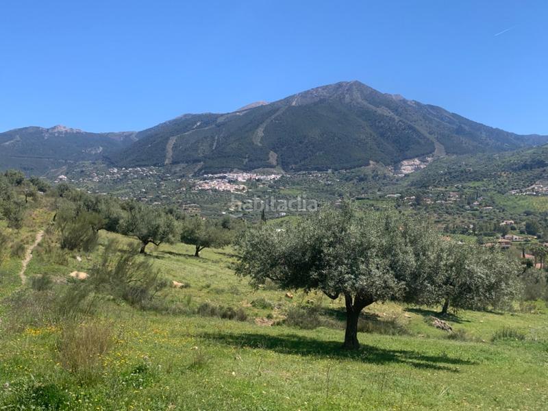 Foto 2121f027-4d83-4398-90d3-7f4dc9845433. Terrain résidentiel dans Alcaucín