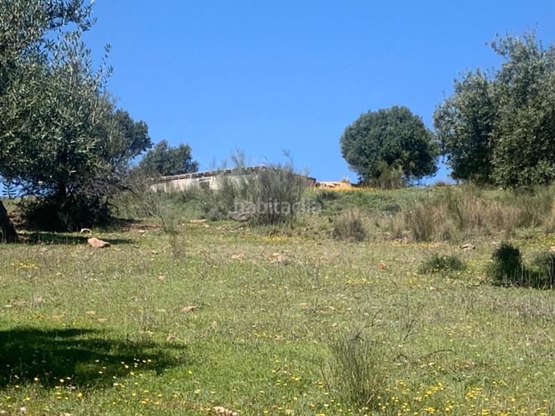 Foto 2f46237c-7d68-4907-92b5-b67f4230d12b. Terrain résidentiel dans Alcaucín