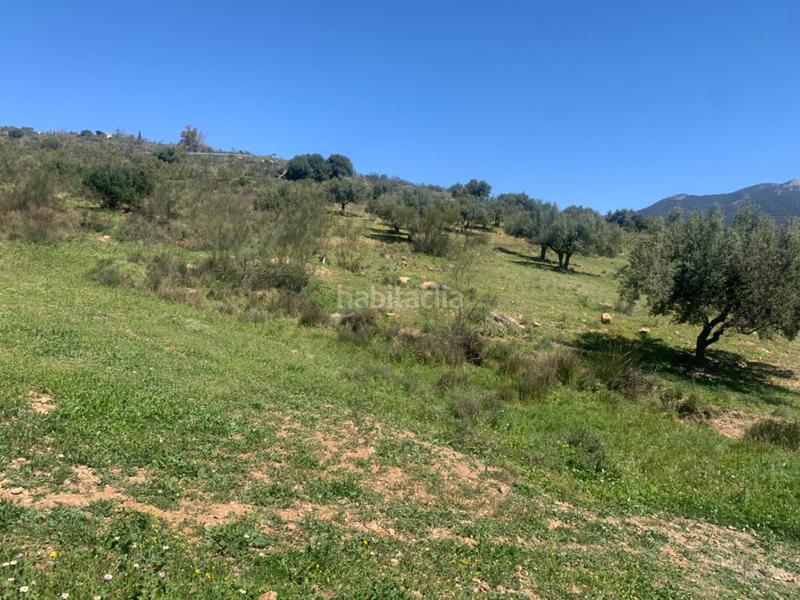 Foto 397b38e7-53d7-4aa6-86a8-a41c22add901. Terrain résidentiel dans Alcaucín