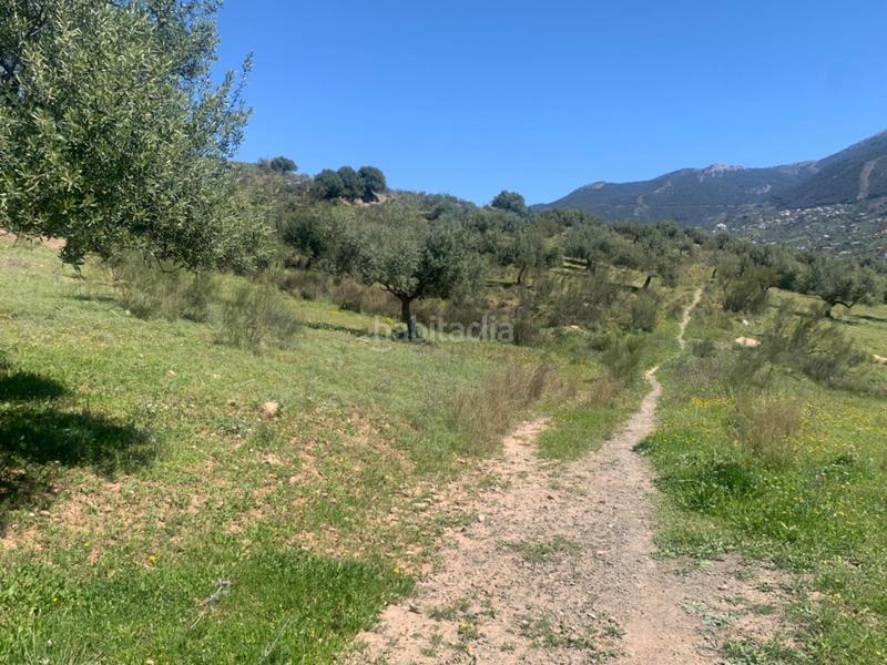 Foto 78aa2f39-9eb6-4241-baac-da929b40ec80. Terrain résidentiel dans Alcaucín