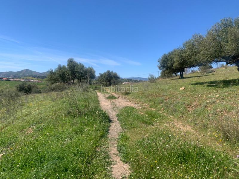 Foto 8bfe0c82-320b-4e98-b5f8-58e16c26156b. Terrain résidentiel dans Alcaucín