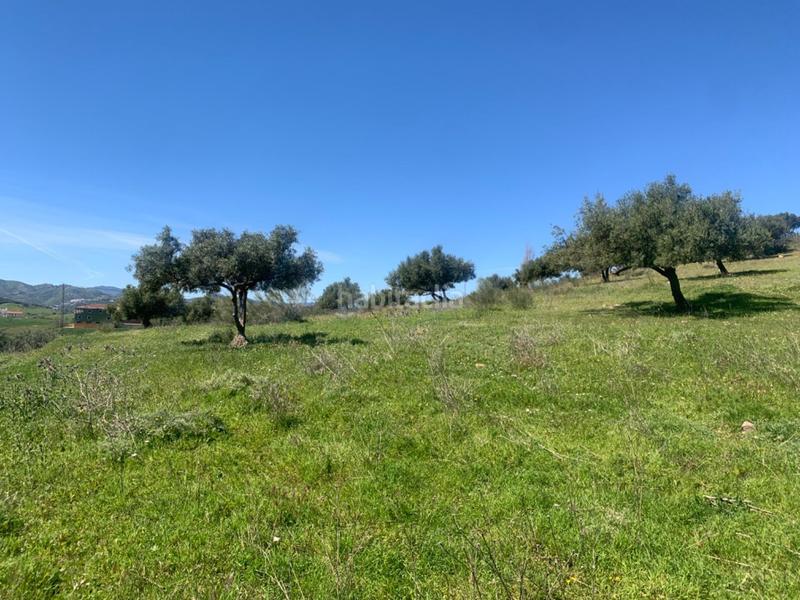 Foto 8e408d6e-8013-4614-a99f-b083cdcbc69c. Terrain résidentiel dans Alcaucín