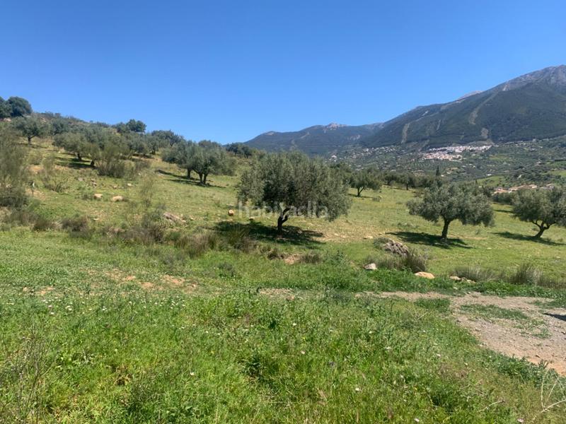 Foto 9d3b7aeb-2fc9-4b3f-993a-1b2c955148d4. Terrain résidentiel dans Alcaucín