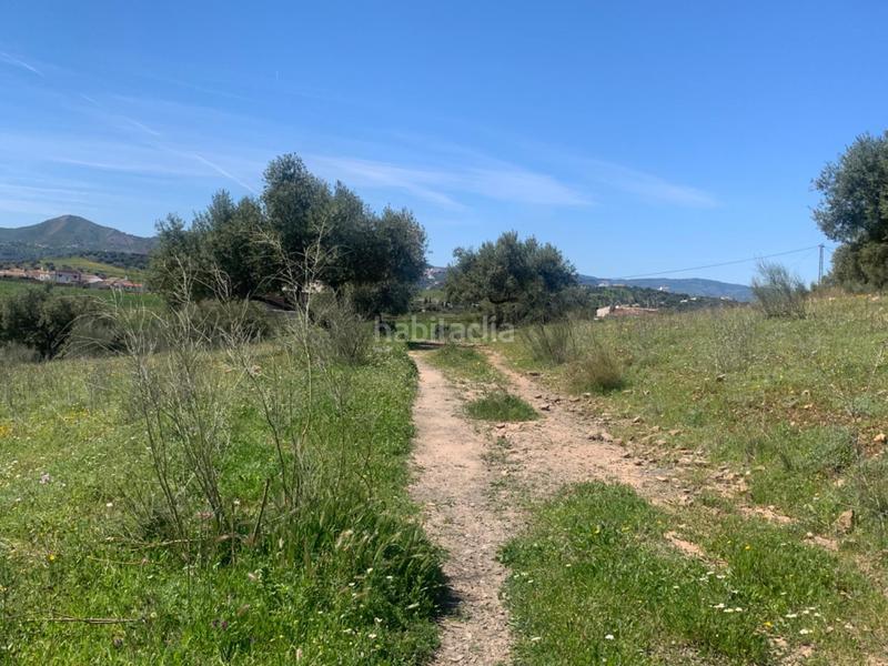 Foto 9e82f101-8d9b-4a1c-84b5-866959c9b394. Terrain résidentiel dans Alcaucín