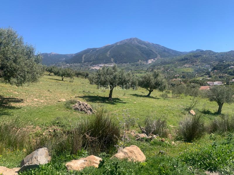 Foto a1dc235a-ad88-4902-881a-b1a81c2ca6db. Terrain résidentiel dans Alcaucín