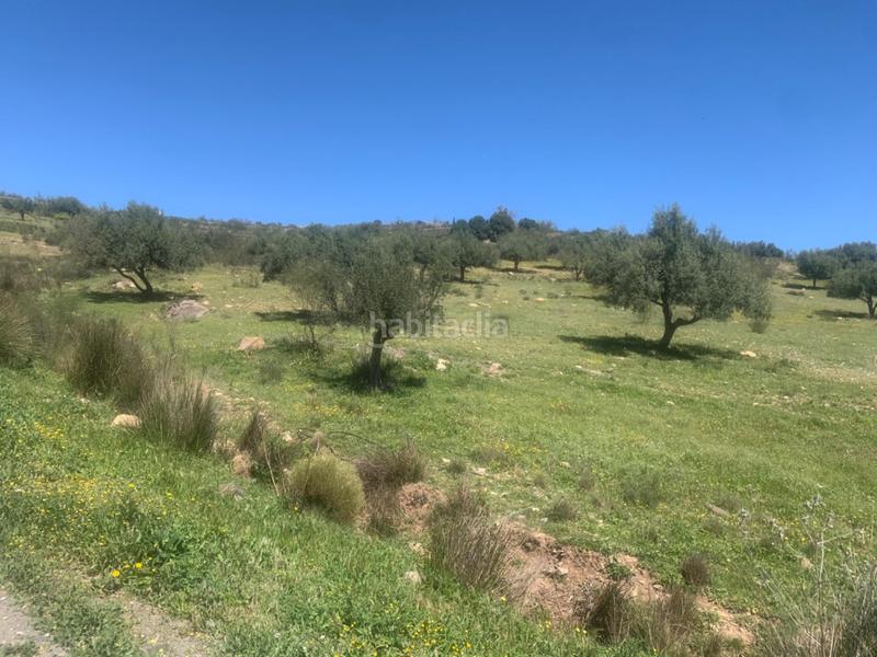 Foto a6ee0d7f-bb32-40f9-b97e-5f5eb1517caf. Terrain résidentiel dans Alcaucín