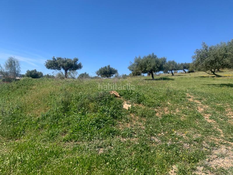 Foto ba964ddb-876b-4168-b18b-274dd090534e. Terrain résidentiel dans Alcaucín