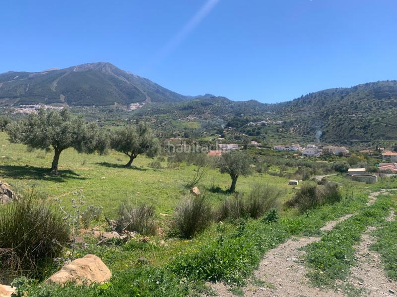 Foto c9574d48-41c6-469d-8c67-99385e8f5f6e. Terrain résidentiel dans Alcaucín