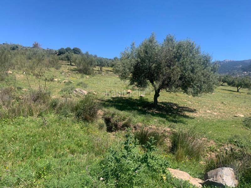 Foto cbf735ff-971b-464c-b275-fbf826302bc2. Terrain résidentiel dans Alcaucín