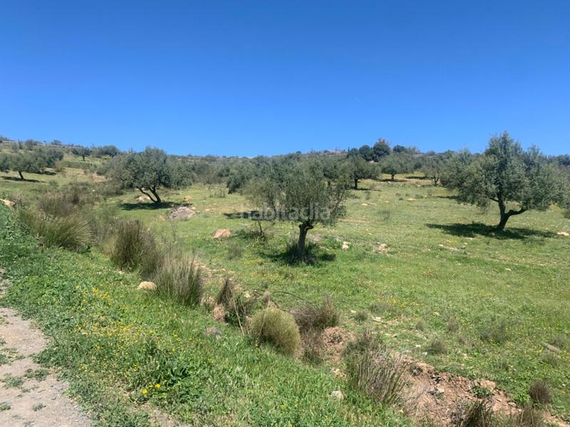 Foto e4adaa09-7dfc-4d41-9dda-381f0b69c048. Terrain résidentiel dans Alcaucín