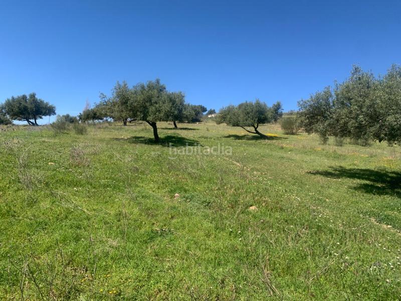 Foto ec0dfa1d-f192-4702-899b-65db631b8b78. Terrain résidentiel dans Alcaucín