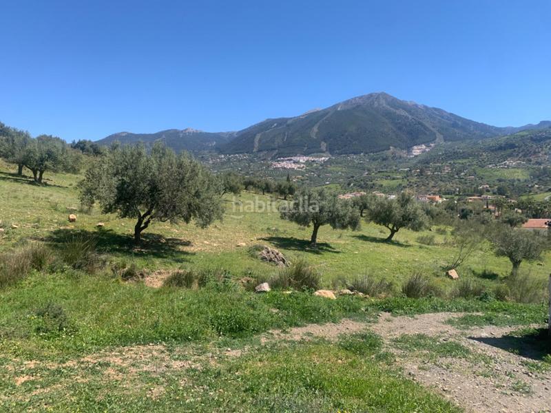 Foto f3006fb4-752a-4f43-a2f6-2a488840124c. Terrain résidentiel dans Alcaucín