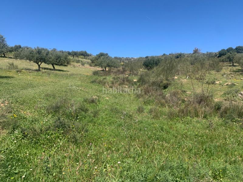 Foto fece644a-7980-42d0-8c6a-8fc1786b4de9. Terrain résidentiel dans Alcaucín