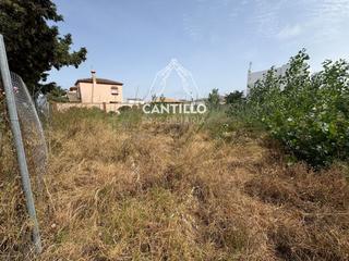 Fondo rustico  Soto del águila. Futura parcela urbana en chiclana de la frontera
