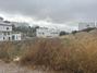 Ampliar foto 11f3aac6-e34d-4b96-b107-a8effc798a57.jpg