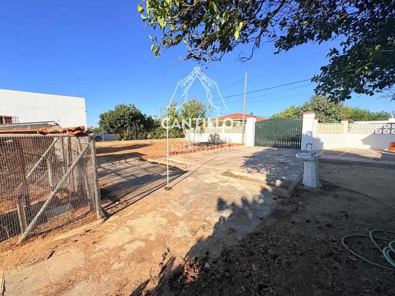 Foto 1b9767fe-7f70-4e17-b2d0-a5c2c18cfb94. Chalet con parcheggio in Roche Conil de la Frontera