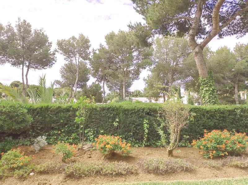 Foto 87ee5d88-536c-443a-8737-a4b632e1ef07. Piccolo appartamento con riscaldamento piscina in Mijas