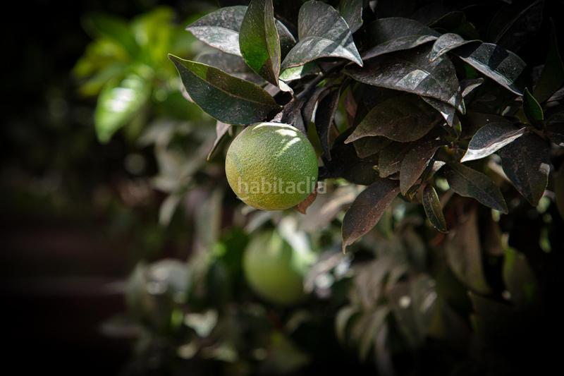 Foto e3653f01-e0ca-4208-bb42-3a356022b5b1. Xalet amb aparcament piscina a Solymar Benalmádena