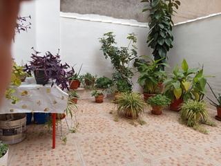 Chalet  Calle alameda