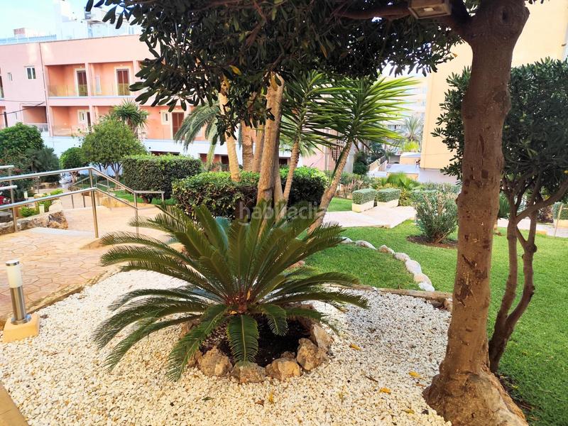 Foto 0a73a772-1b7b-4e54-95d4-abbd6a8d3ffa. Lloguer apartament amb piscina a Peguera Calvià