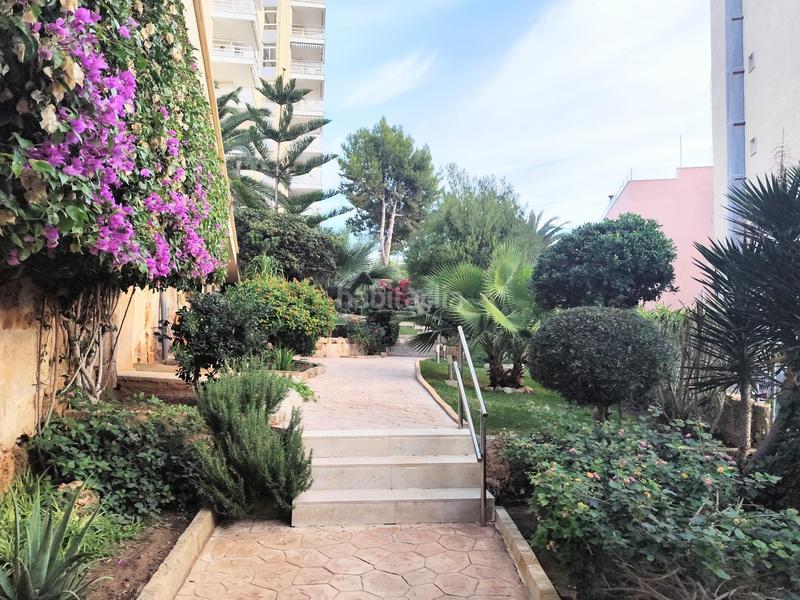 Foto 4a40cbdc-ead9-4ee2-b79c-af04381abd9b. Location appartement avec piscine dans Peguera Calvià