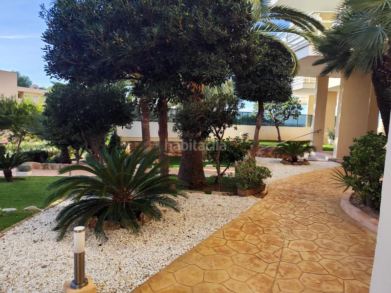 Foto ce6ce605-1e61-4744-82dc-d1573c1f595a. Location appartement avec piscine dans Peguera Calvià