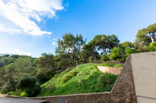 Local Comercial  Carrer polvori. Se vende local en el terreno