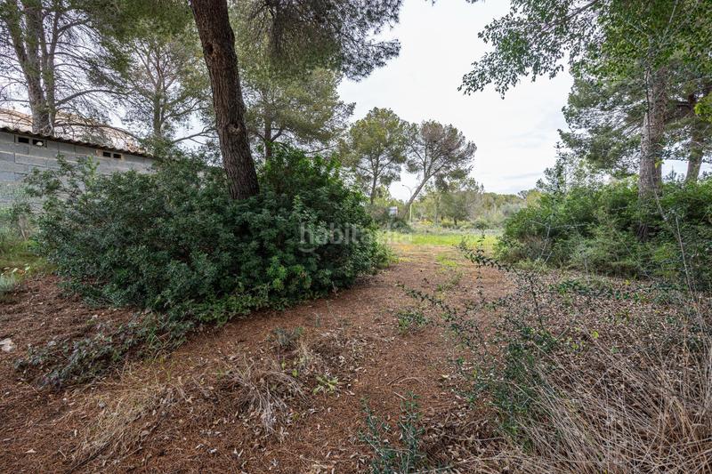 Foto a0c2e1a1-a7b6-4a61-b990-17a9dd348ac1. Terreny residencial a Santa Ponça Calvià