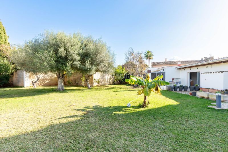 Foto b89f1d0f-baee-4917-bb0c-ad93aacf7ca1. Casa amb aparcament piscina a Son Sardina Palma de Mallorca