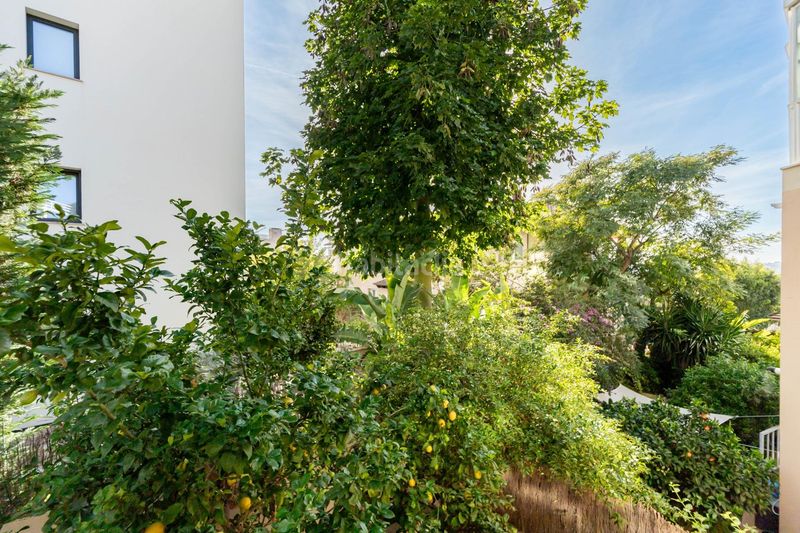 Foto aca9cf5f-ec50-4161-94e8-ae8153d65712. Dúplex amb aparcament piscina a La Bonanova Palma de Mallorca