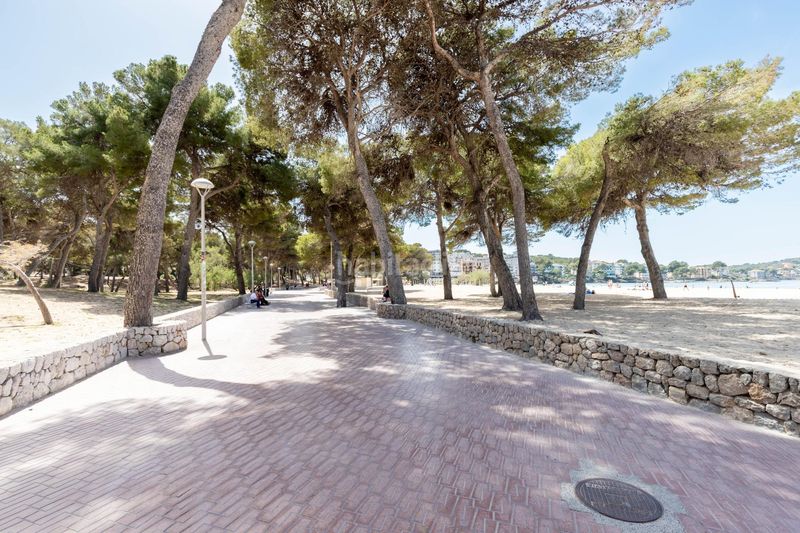 Foto 708e9fb7-e771-446b-81e4-27383d4573b0. Pis a Santa Ponça Calvià