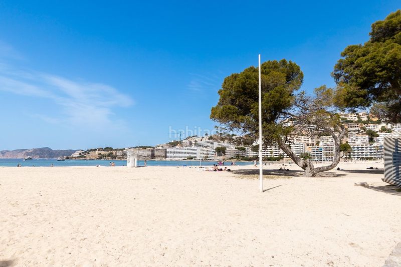 Foto 71942cb8-800c-49ce-88ad-3ccb93d35331. Pis a Santa Ponça Calvià