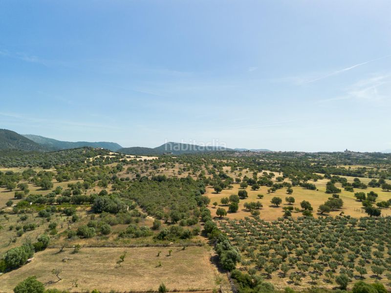 Foto e57520ae-c21e-44a8-b26f-202f1a52a02b. Masia amb calefacció aparcament a Selva
