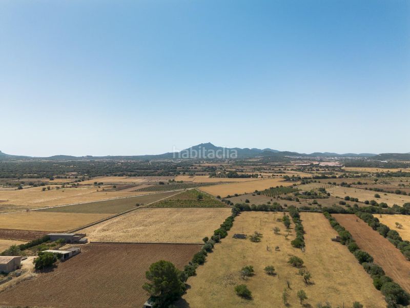 Foto 527d689b-f976-4c11-ad88-687043838a27. Masia amb aparcament a Felanitx poble Felanitx