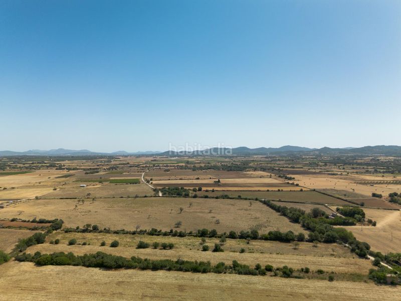 Foto 801c3280-c556-4b3e-9037-55774c22477d. Masia amb aparcament a Felanitx poble Felanitx