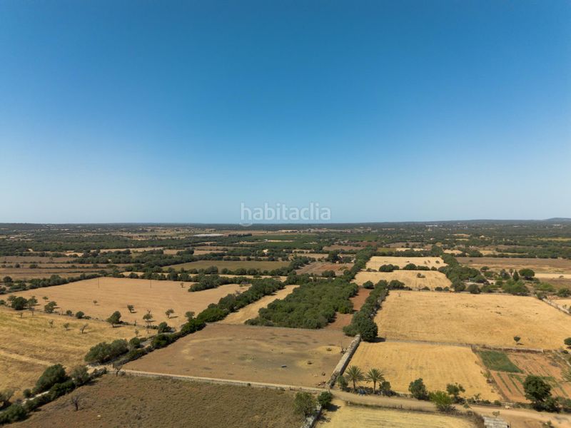 Foto b680061b-c797-441f-b552-fc514b6c6b0c. Masia amb aparcament a Felanitx poble Felanitx