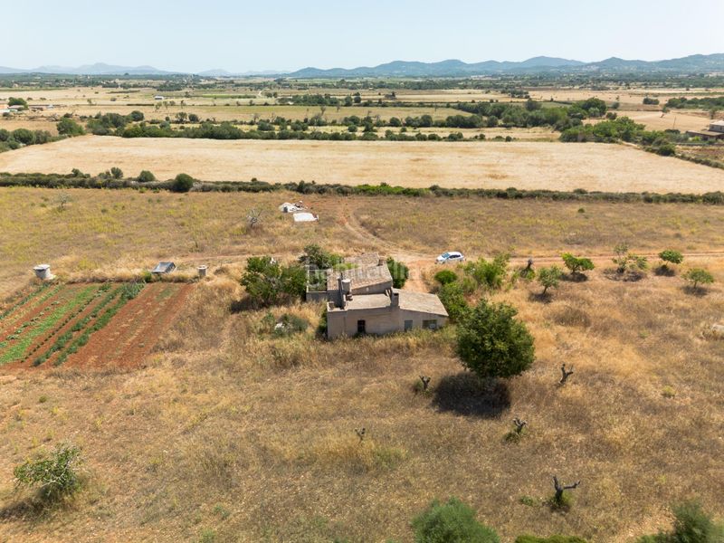 Foto bffb8f3d-c31d-4273-863b-d34c8651f368. Masia amb aparcament a Felanitx poble Felanitx