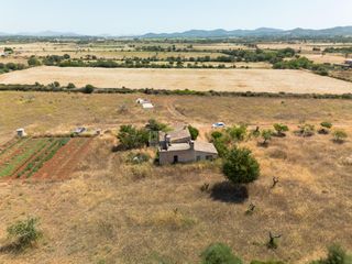 Masia a Felanitx Poble. Finca rústica en venta en felanitx