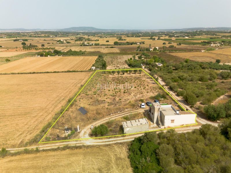 Foto c98c6ef2-d4ce-4830-913a-c5a8a66829fd. Masia amb aparcament a S´Illot-Cala Morlanda Manacor