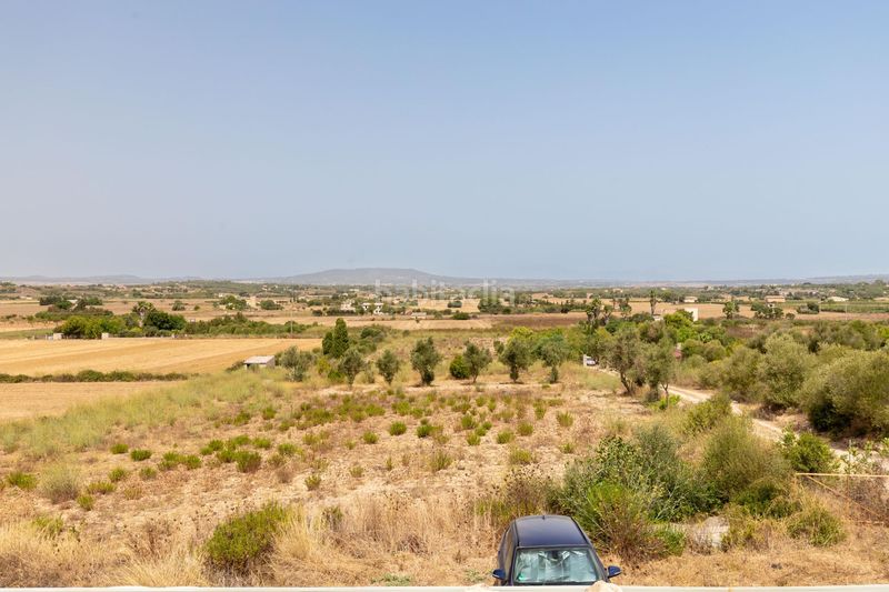 Foto e660df8d-5f19-4a83-8a91-6ba9980cf888. Masia amb aparcament a S´Illot-Cala Morlanda Manacor