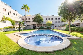 Dachwohnung  Carrer carrer joan daurer. Ático con espectacular terraza y vistas a la serra de tramuntana
