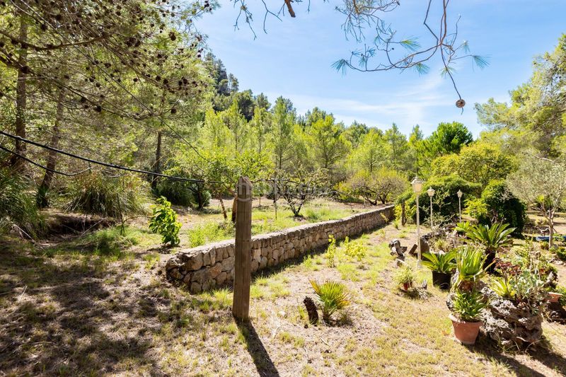 Foto b4322184-9676-4300-a3c3-f3c34f4cc2a0. Casale con parcheggio piscina in Esporles