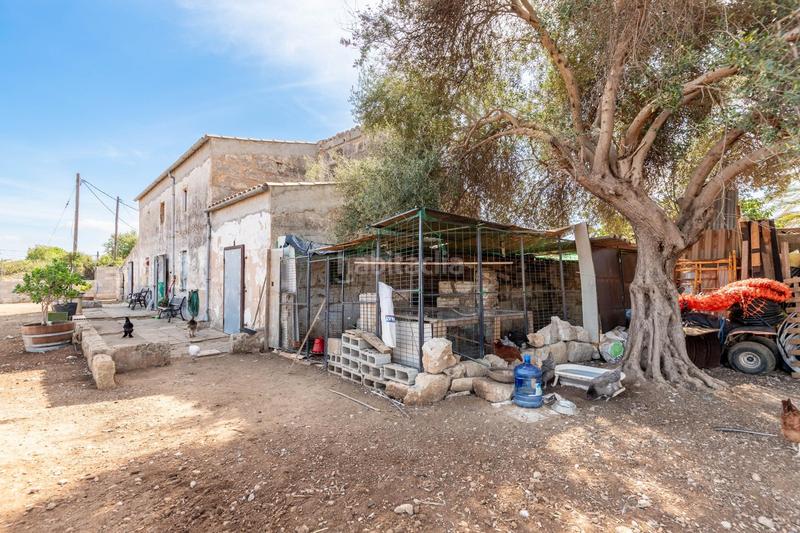 Foto 4ace319c-a9e1-4b73-8e23-70070f7e81ce. Casa mallorca f rústica en Zona Periurbana Inca